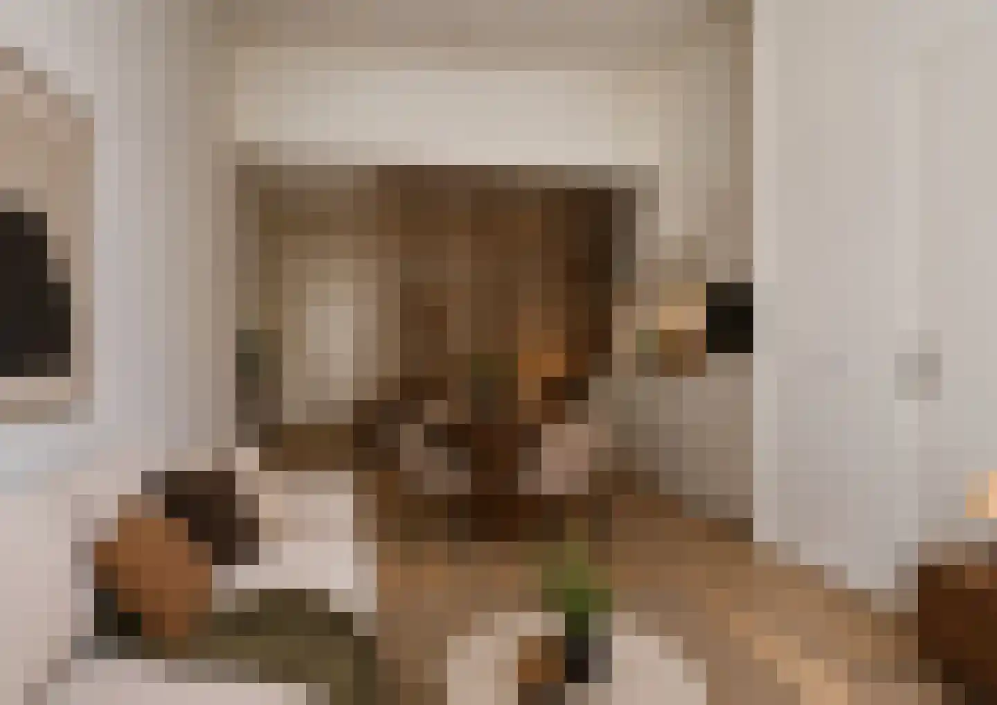 Markt 51 A Helmond thumbnail 16