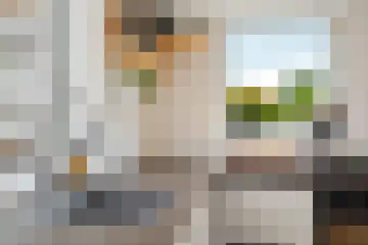Markt 55 Zoetermeer thumbnail 11