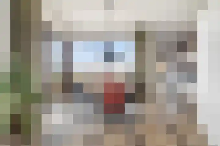 Markt 55 Zoetermeer thumbnail 14