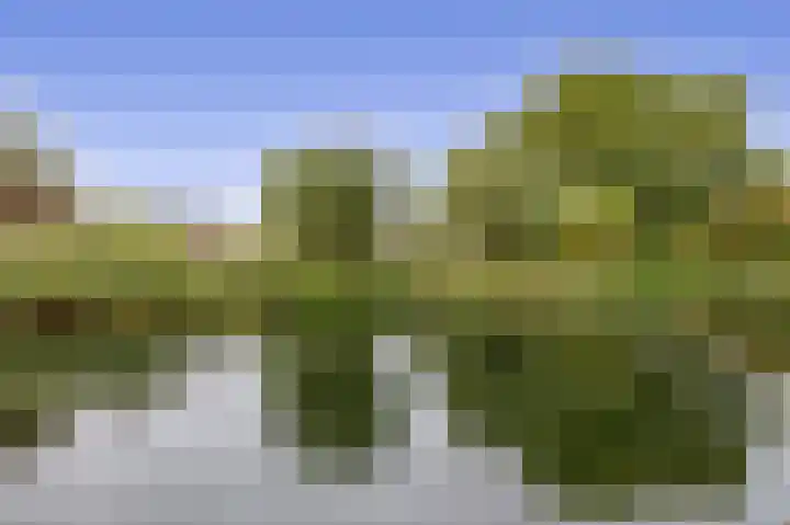Markt 55 Zoetermeer thumbnail 25