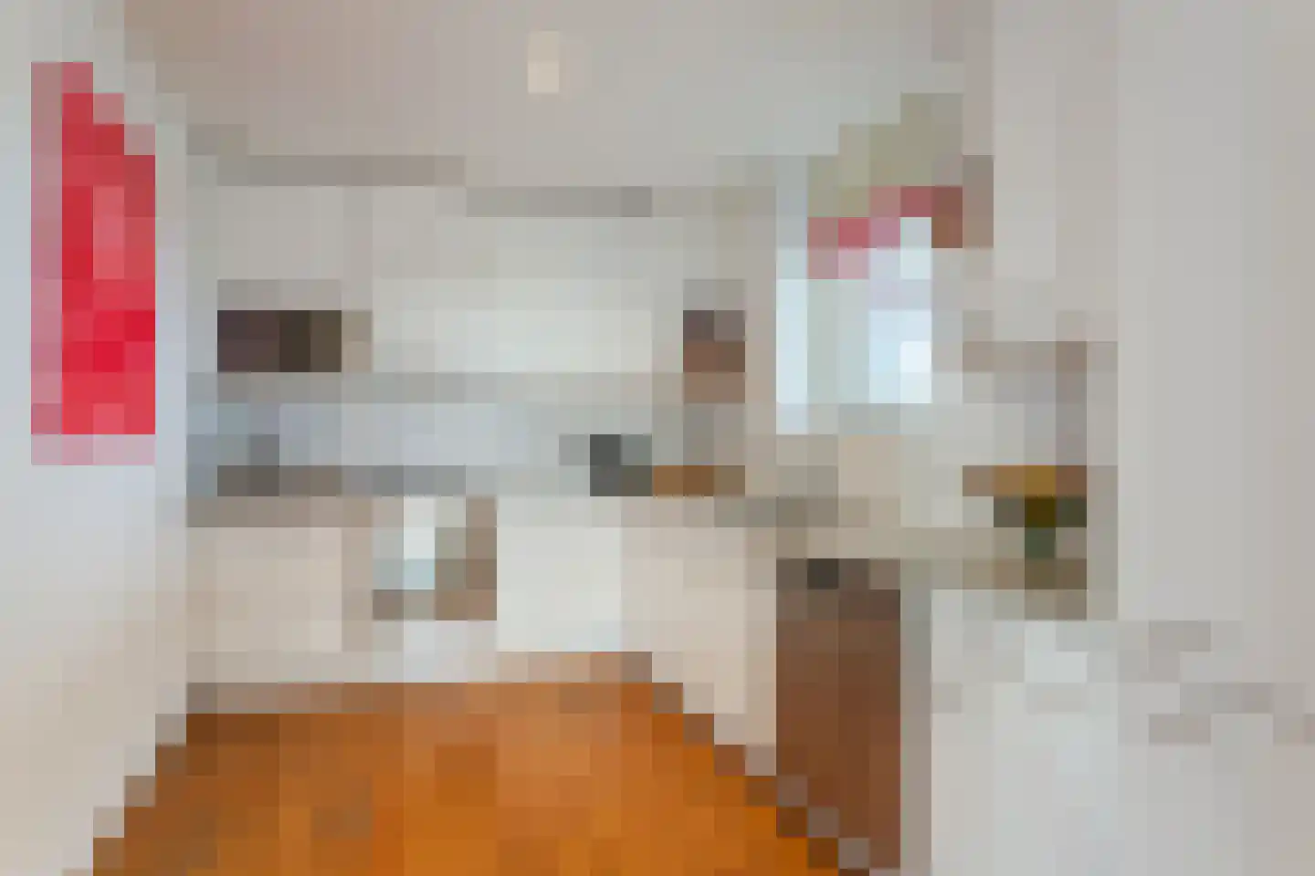 Markt 56 Valkenswaard thumbnail 6