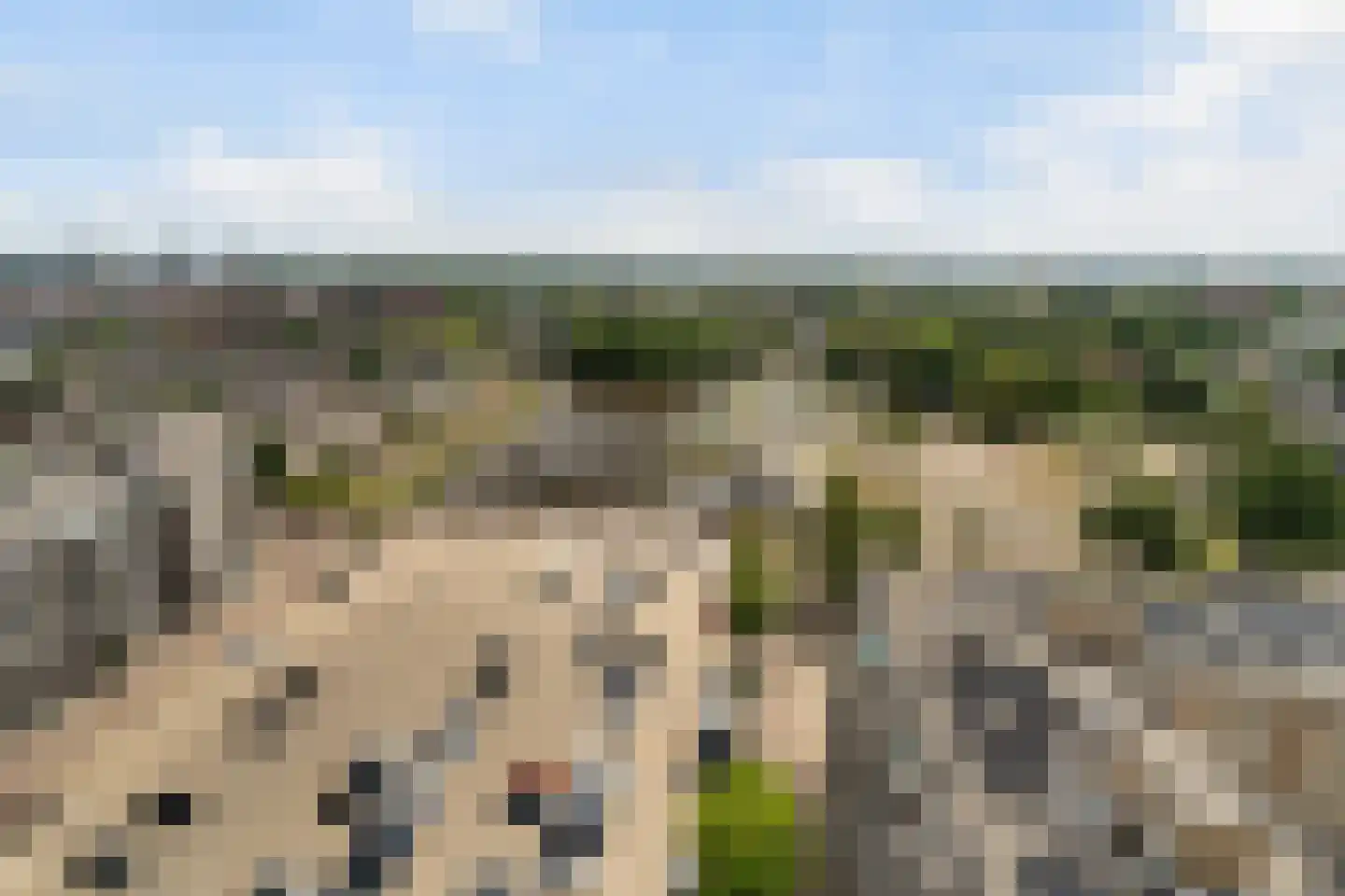 Markt 57 Zoetermeer thumbnail 52
