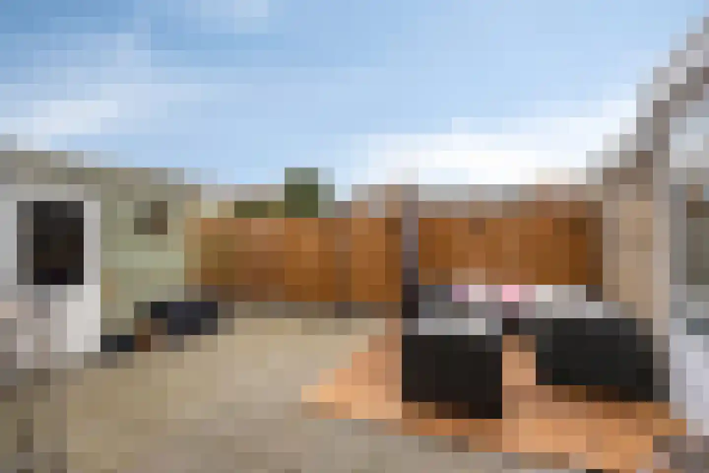 Markt 6 a Reusel thumbnail 27