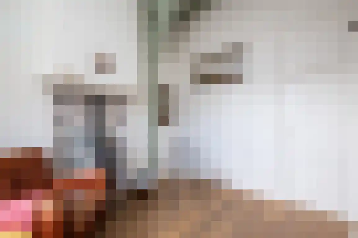 Markt 6 Goedereede thumbnail 13