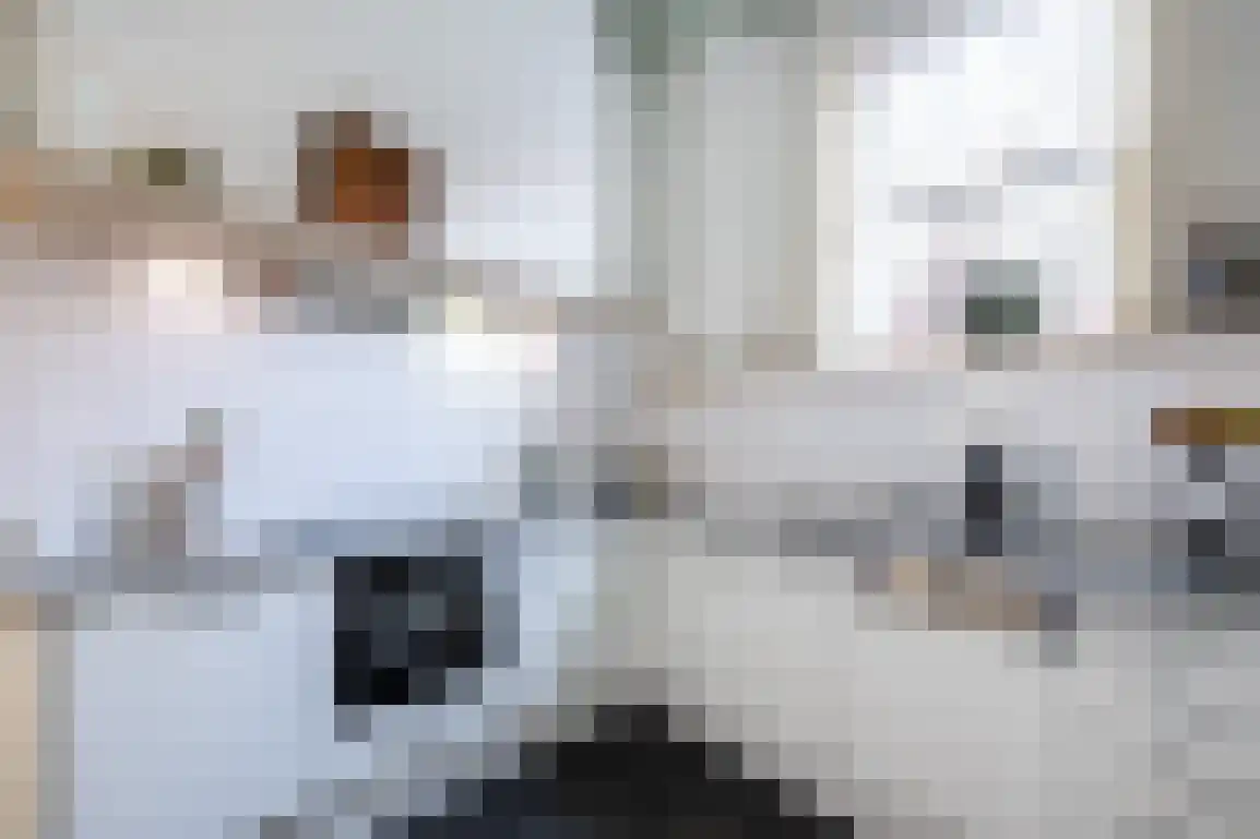 Markt 6 Goedereede thumbnail 14