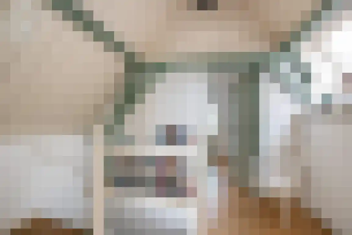 Markt 6 Goedereede thumbnail 41