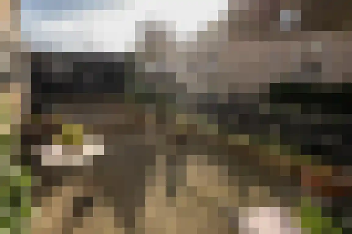 Markt 6 Goedereede thumbnail 51