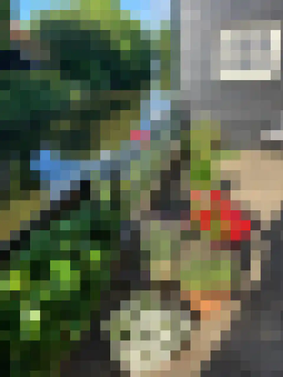 Markt 6 Goedereede thumbnail 55