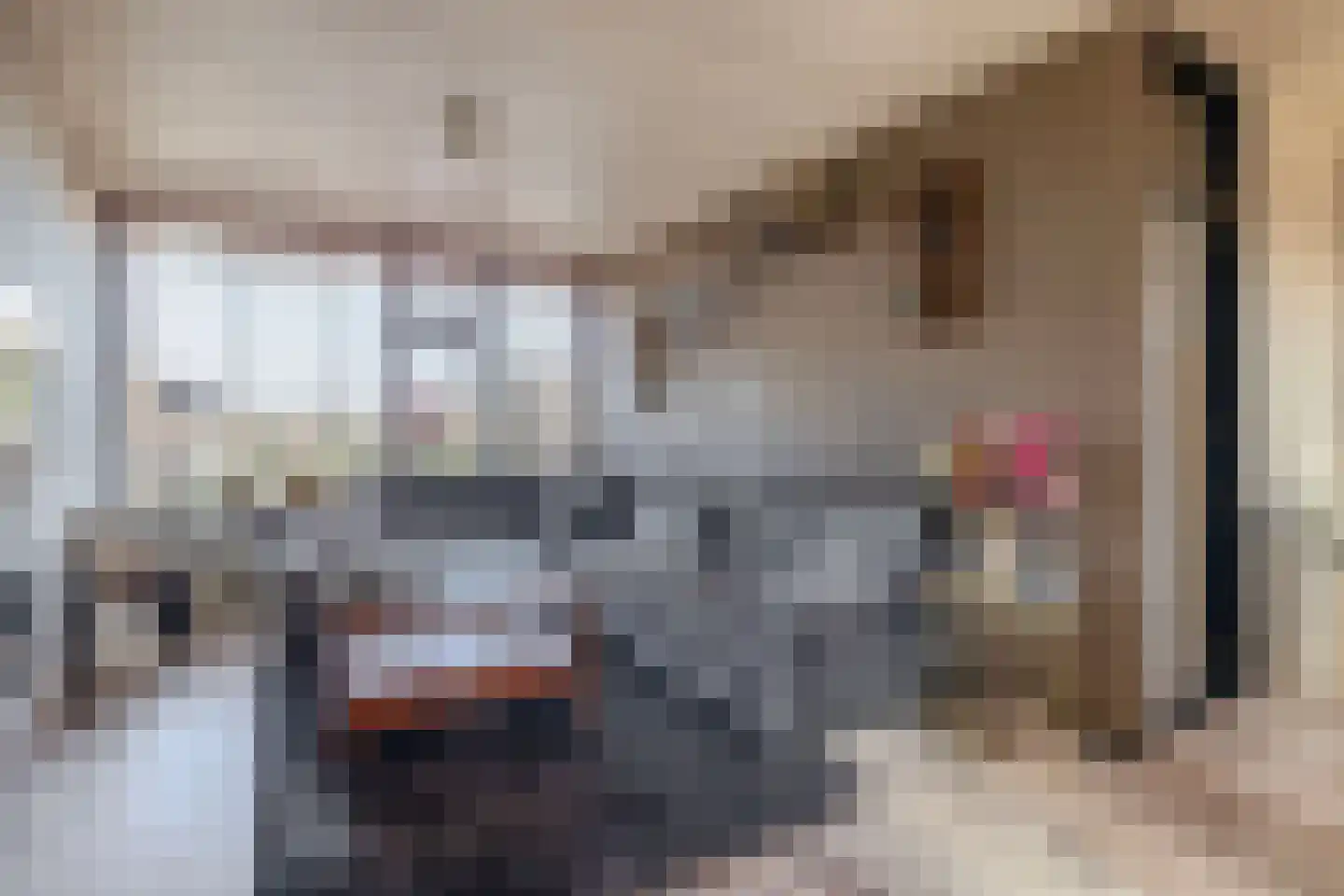Markt 6 Ter Apel thumbnail 15