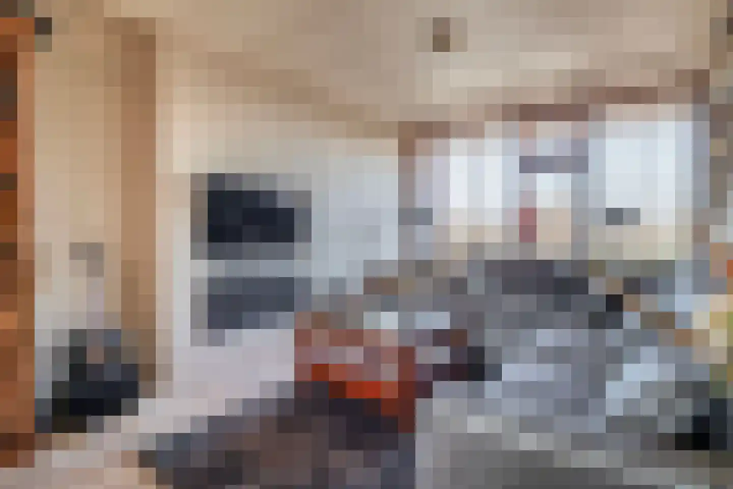 Markt 6 Ter Apel thumbnail 16