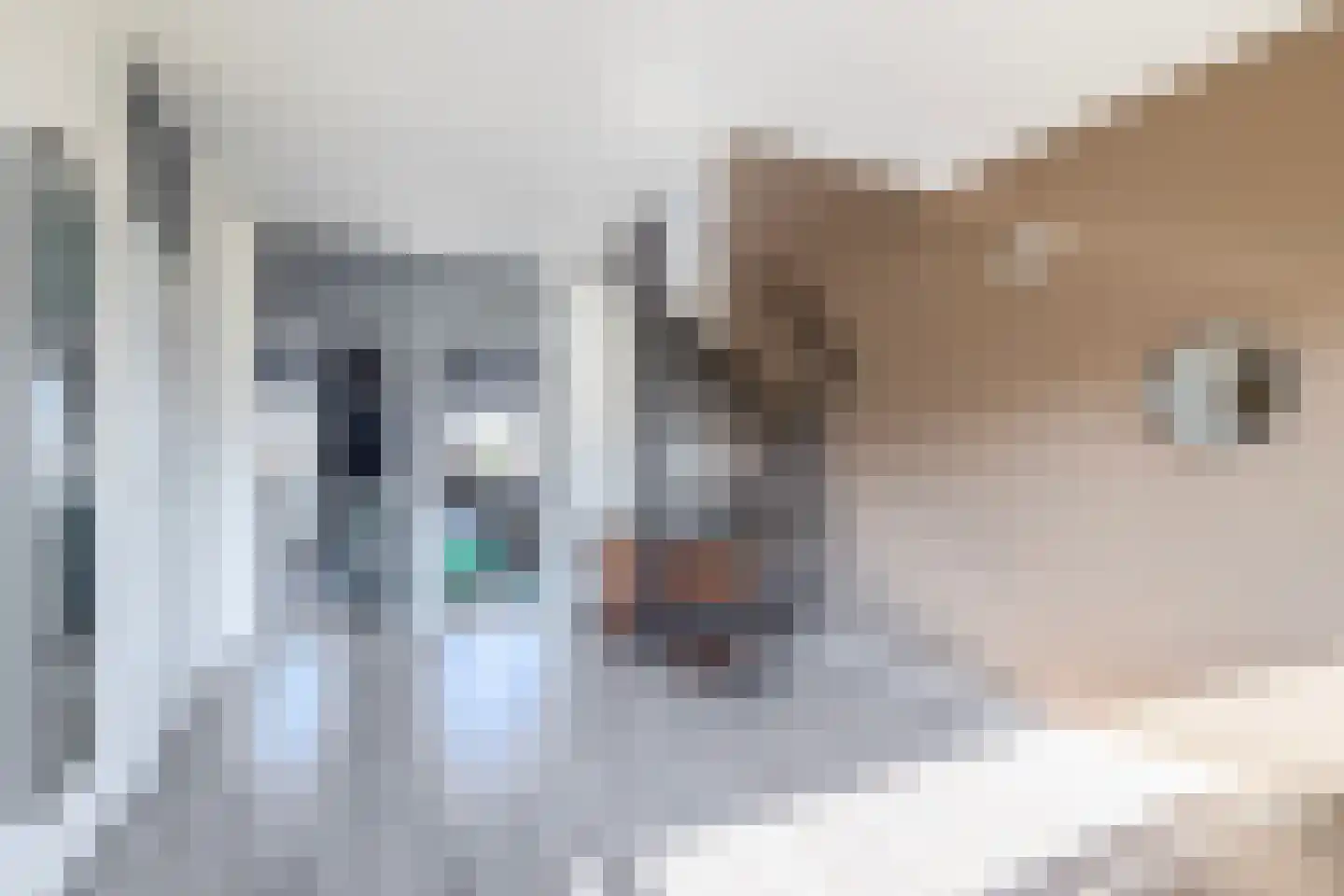 Markt 6 Ter Apel thumbnail 27