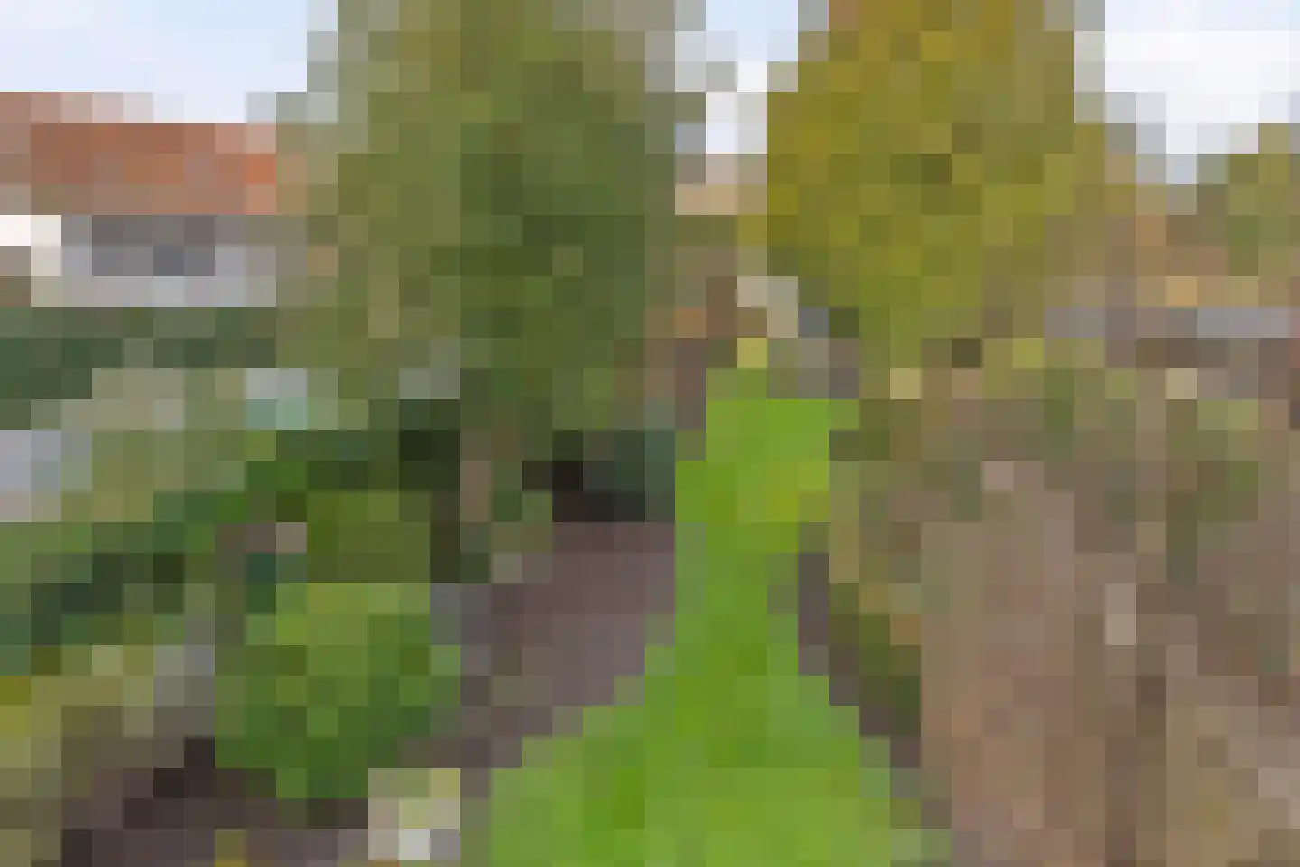 Markt 6 Valkenswaard thumbnail 47