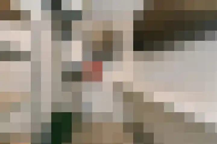 Markt 62 Panningen thumbnail 11