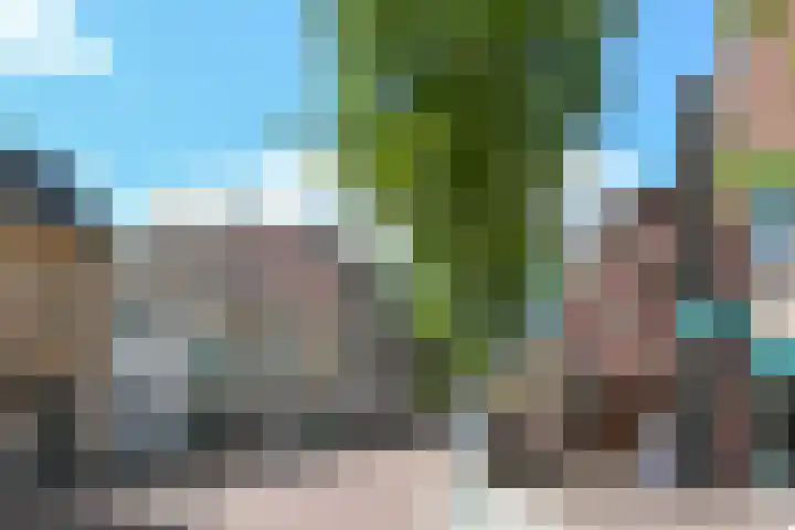 Markt 62 Panningen thumbnail 15