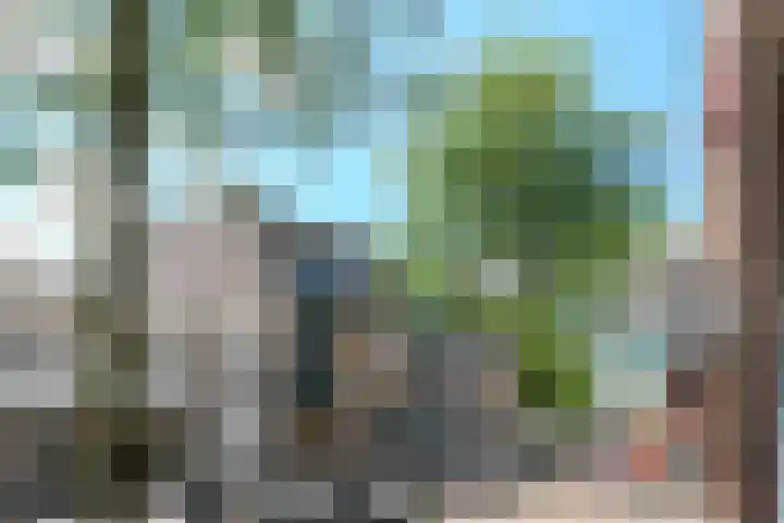 Markt 62 Panningen thumbnail 16