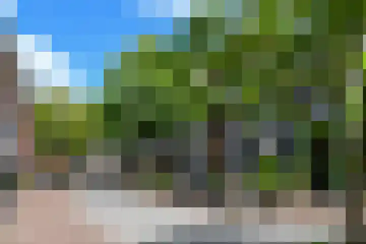 Markt 62 Panningen thumbnail 19