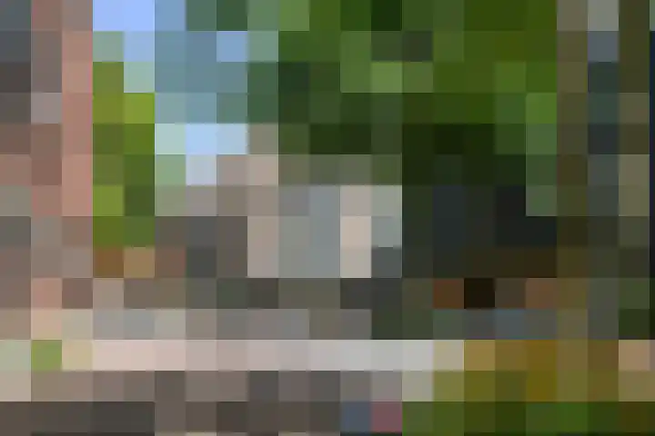 Markt 62 Panningen thumbnail 20