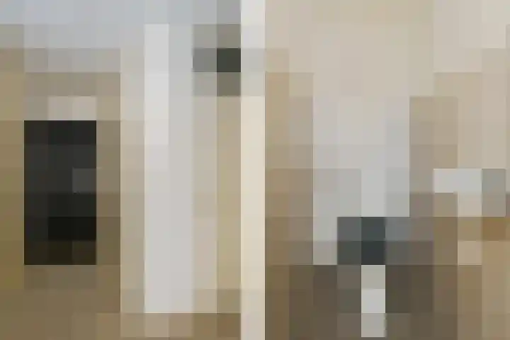 Markt 62 Panningen thumbnail 8