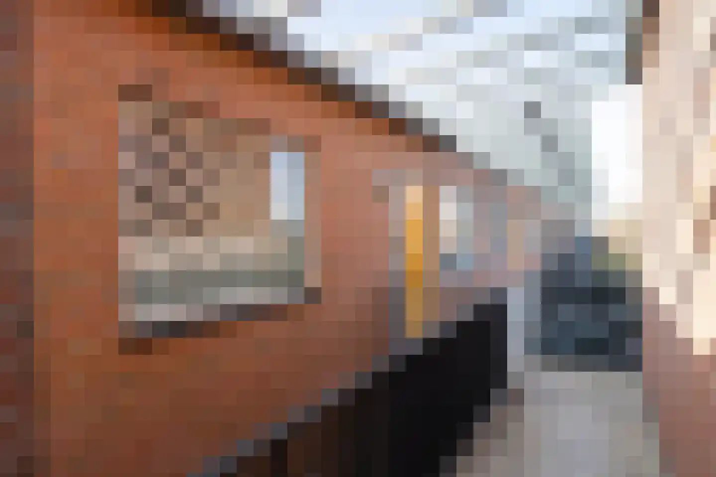 Markt 63 Wijk en Aalburg thumbnail 4
