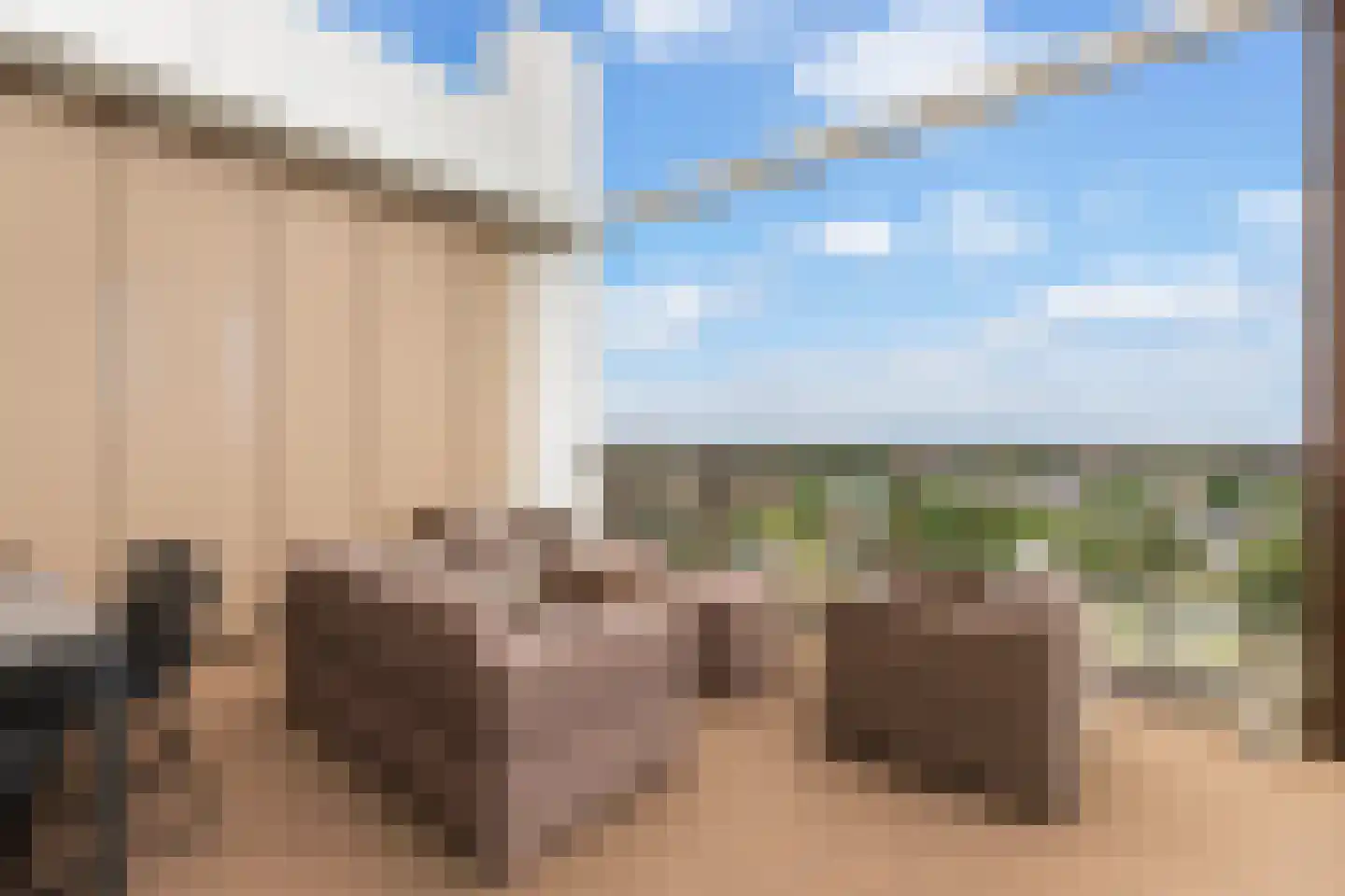Markt 65 Zoetermeer thumbnail 23