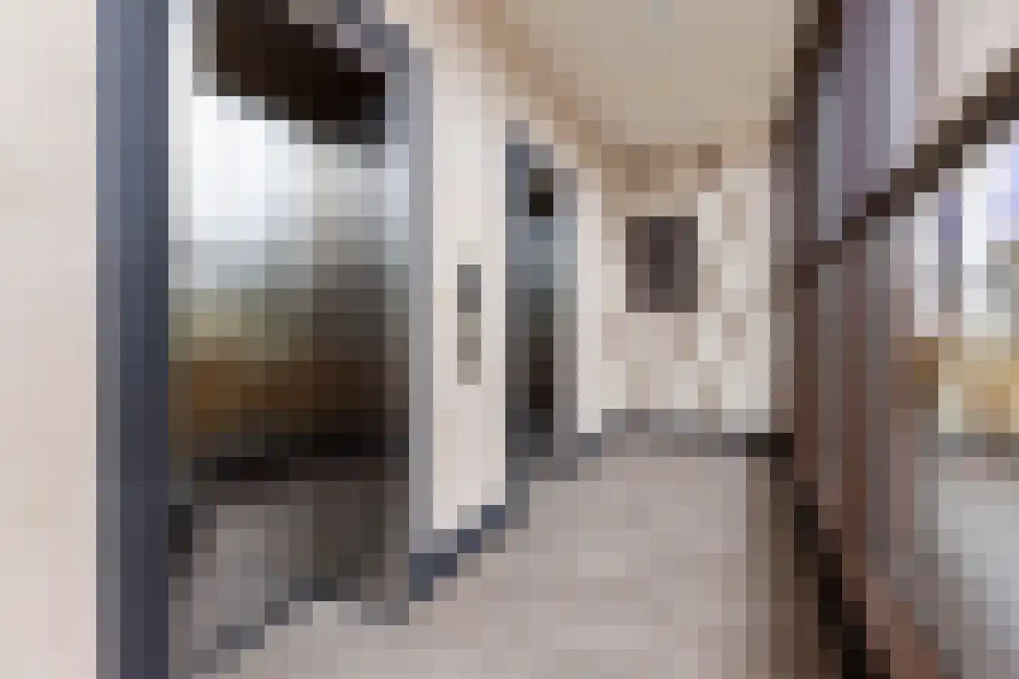 Markt 65 Zoetermeer thumbnail 29