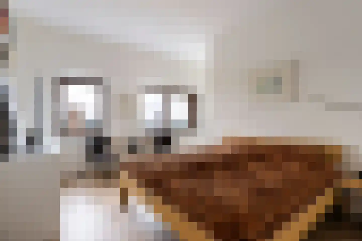 Markt 65 Zoetermeer thumbnail 36