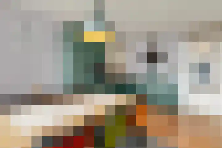 Markt 66 Beverwijk thumbnail 20
