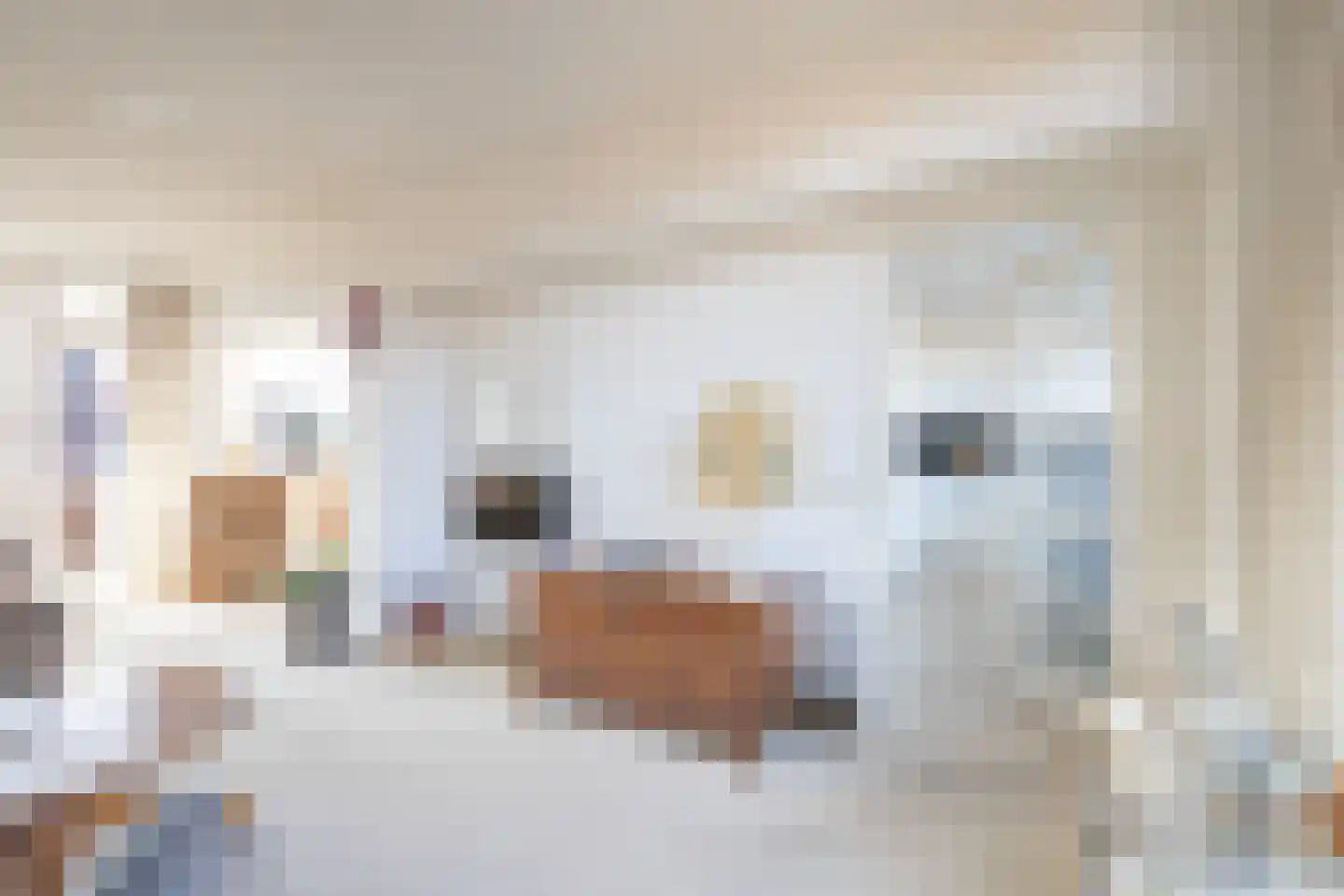 Markt 67 Beek thumbnail 8