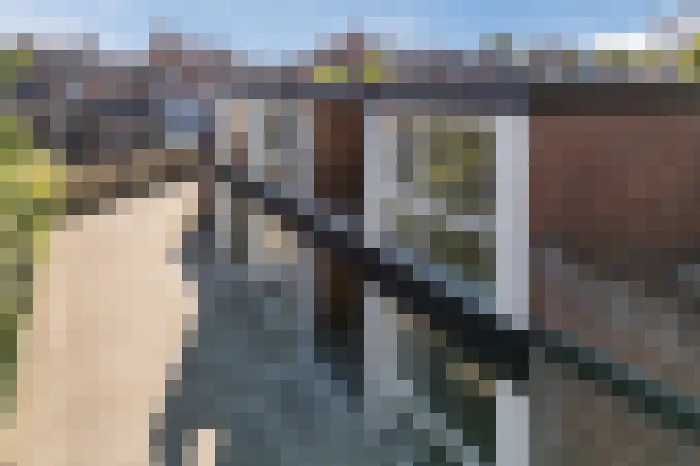 Markt 7 c Standdaarbuiten thumbnail 35
