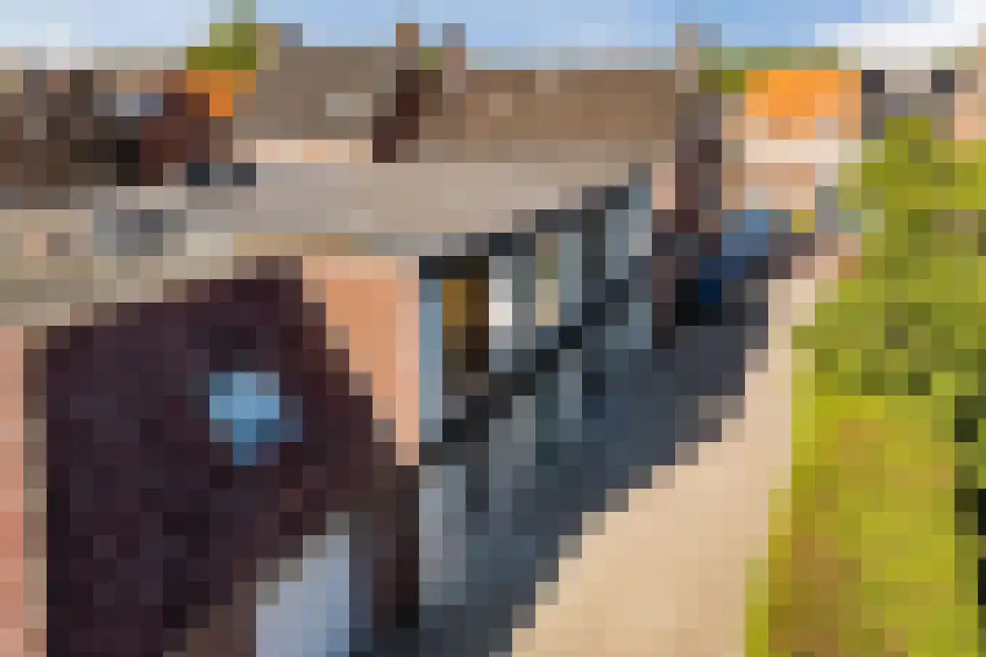 Markt 7 c Standdaarbuiten thumbnail 36
