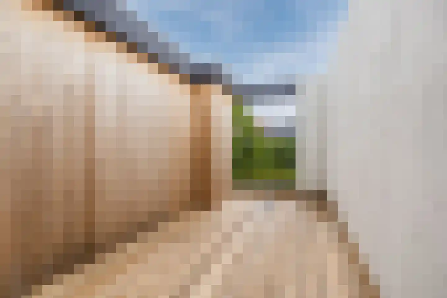 Markt 7 c Standdaarbuiten thumbnail 5