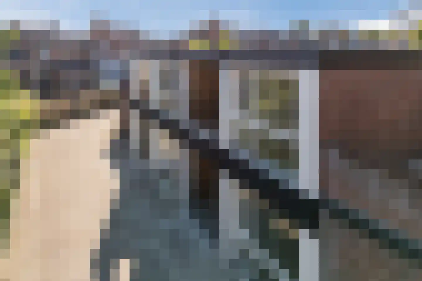 Markt 7 d Standdaarbuiten thumbnail 33