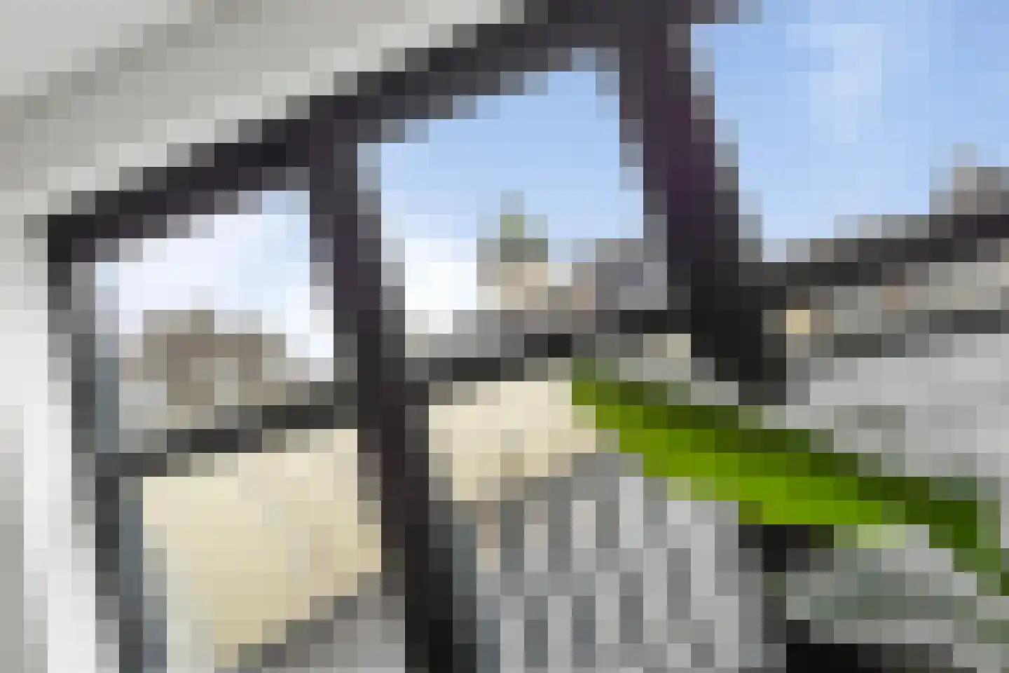 Markt 7 g Oudenbosch thumbnail 12