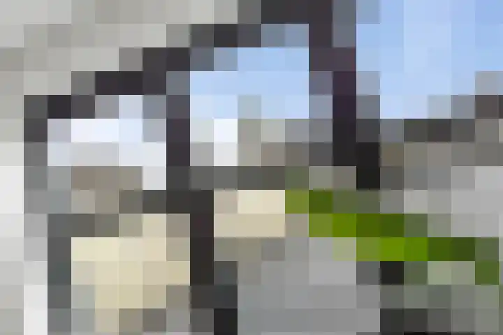 Markt 7 g Oudenbosch thumbnail 12
