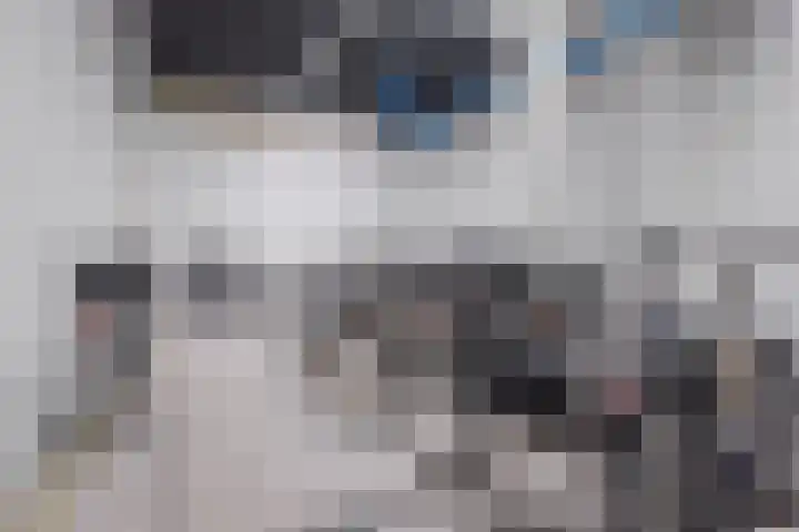 Markt 7 g Oudenbosch thumbnail 14