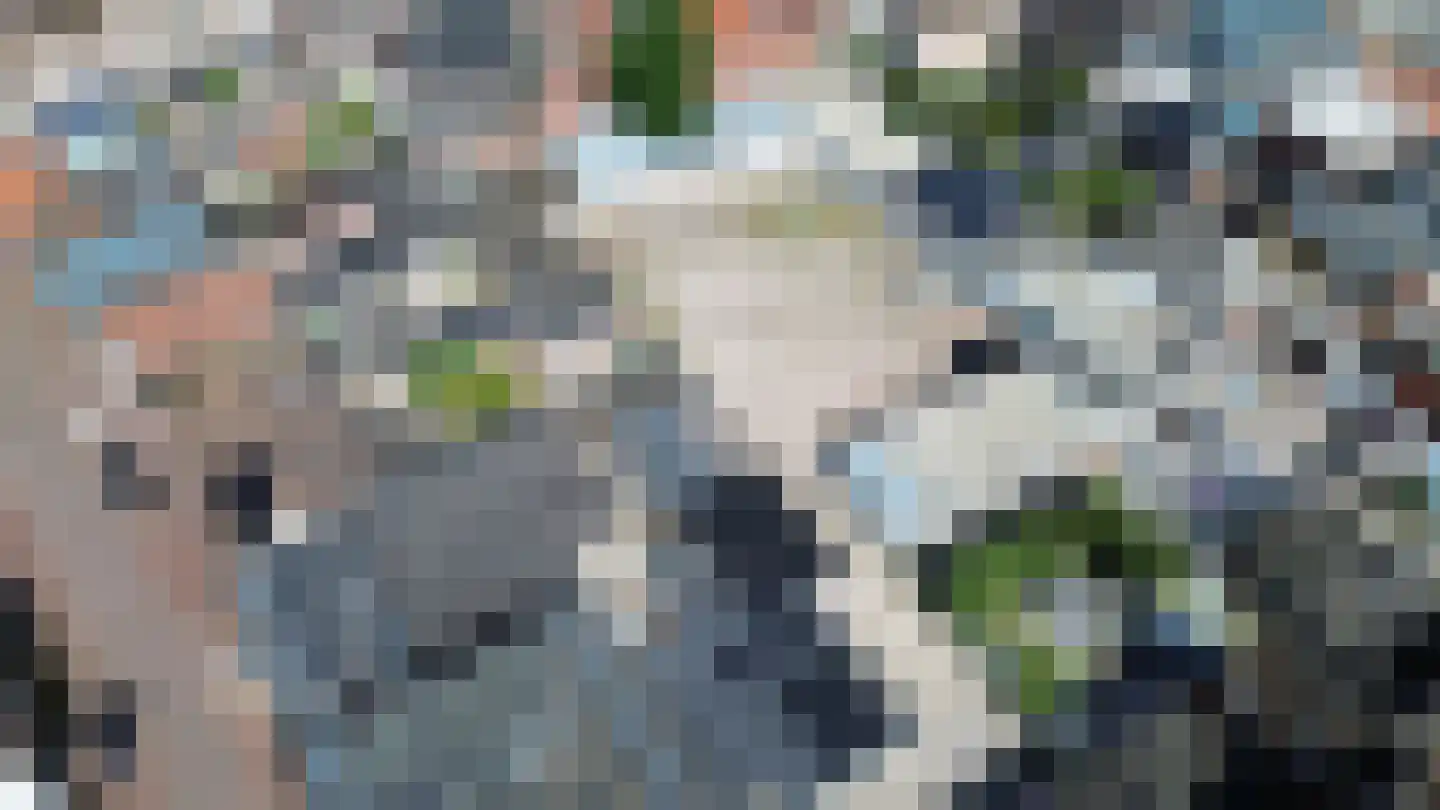 Markt 7 ga Sas van Gent thumbnail 5