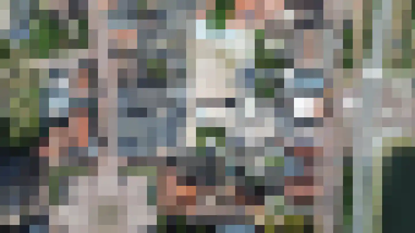 Markt 7 ga Sas van Gent thumbnail 6