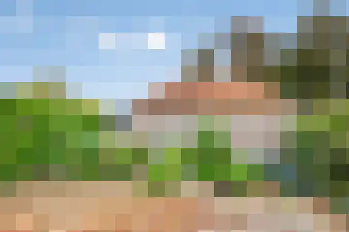 Markt 70 Etten-Leur thumbnail 32