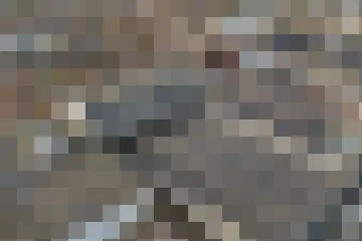 Markt 73 Dedemsvaart thumbnail 31