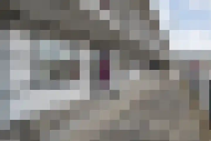 Markt 73 Dedemsvaart thumbnail 4