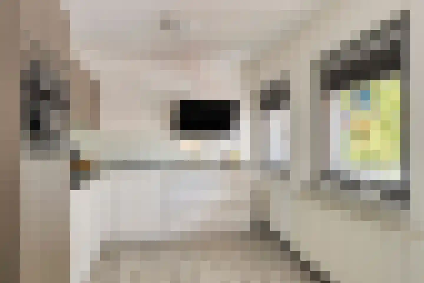 Markt 74 Panningen thumbnail 13