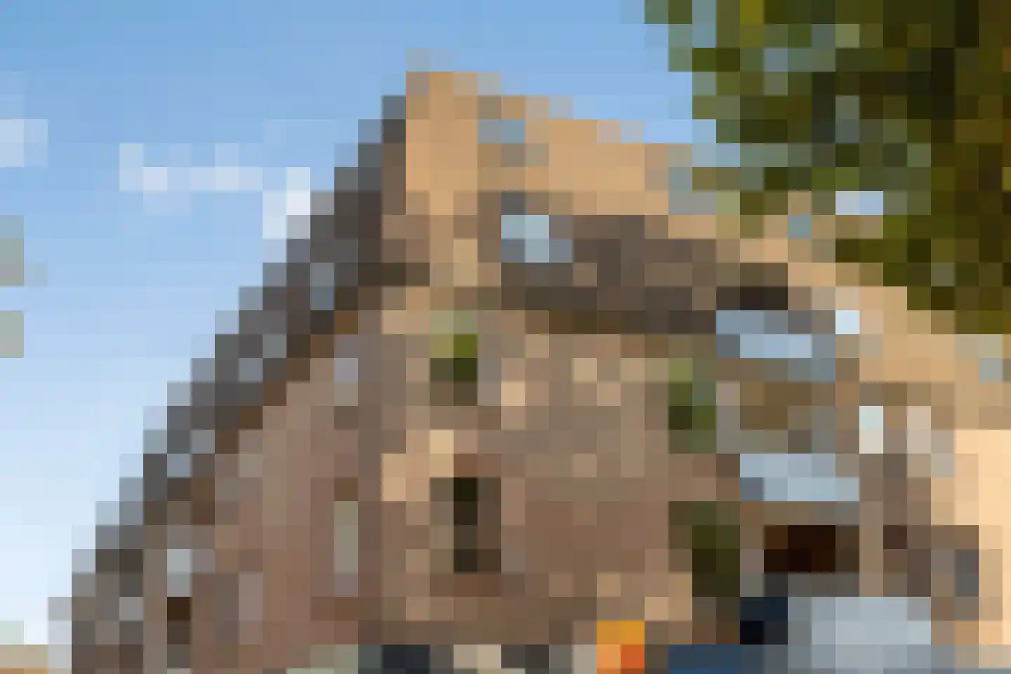 Markt 74 Panningen thumbnail 31
