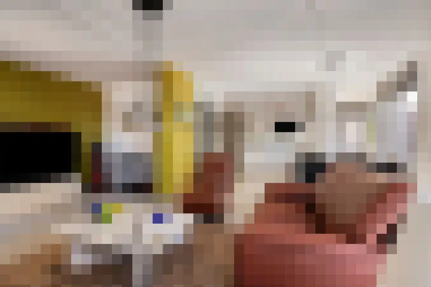 Markt 74 Panningen thumbnail 7