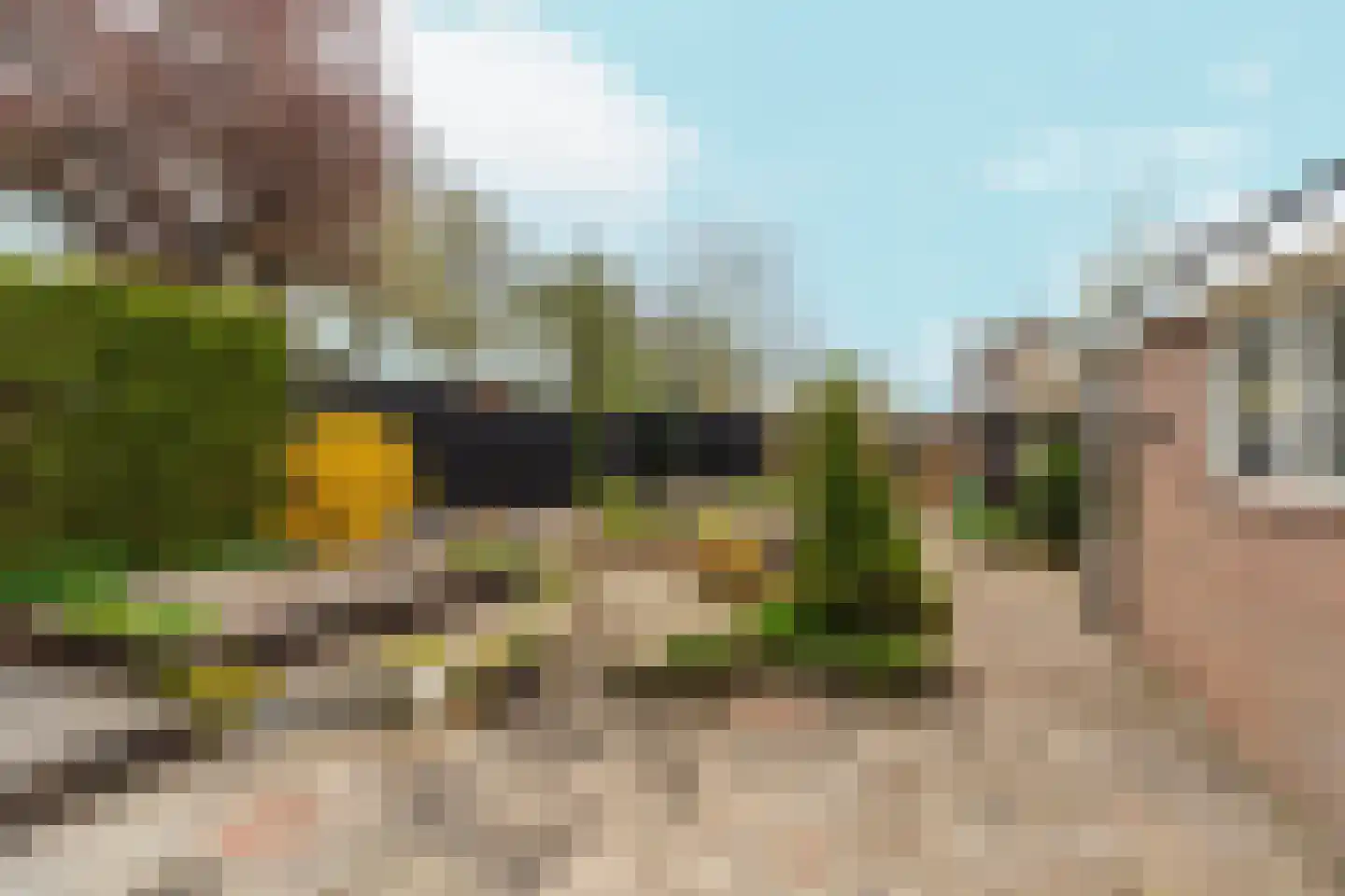 Markt 8 a Lobith thumbnail 33