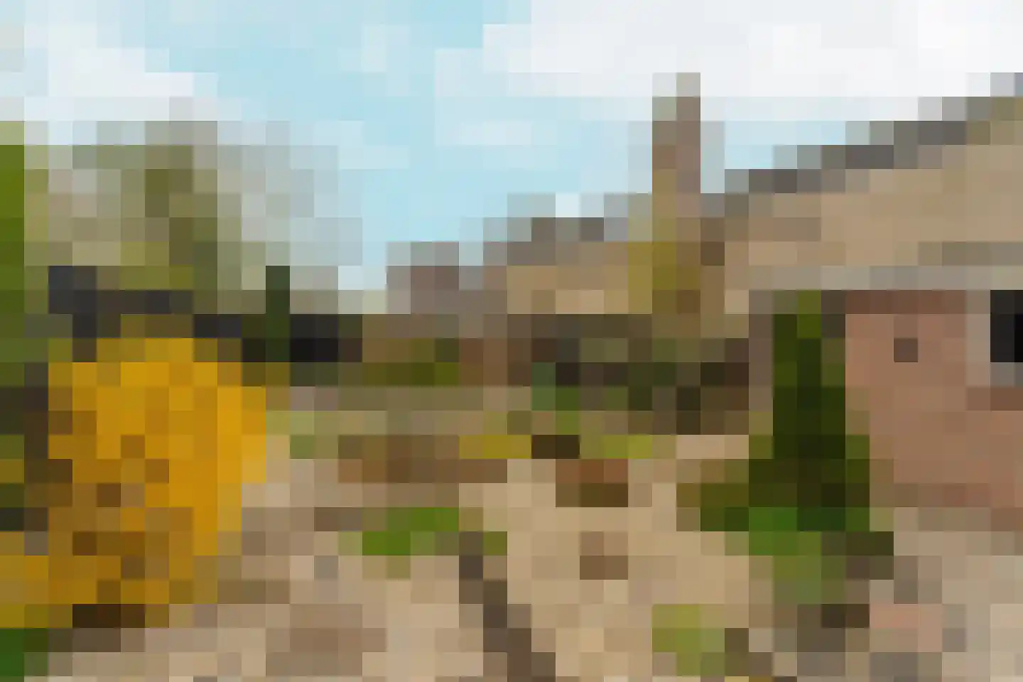 Markt 8 a Lobith thumbnail 4