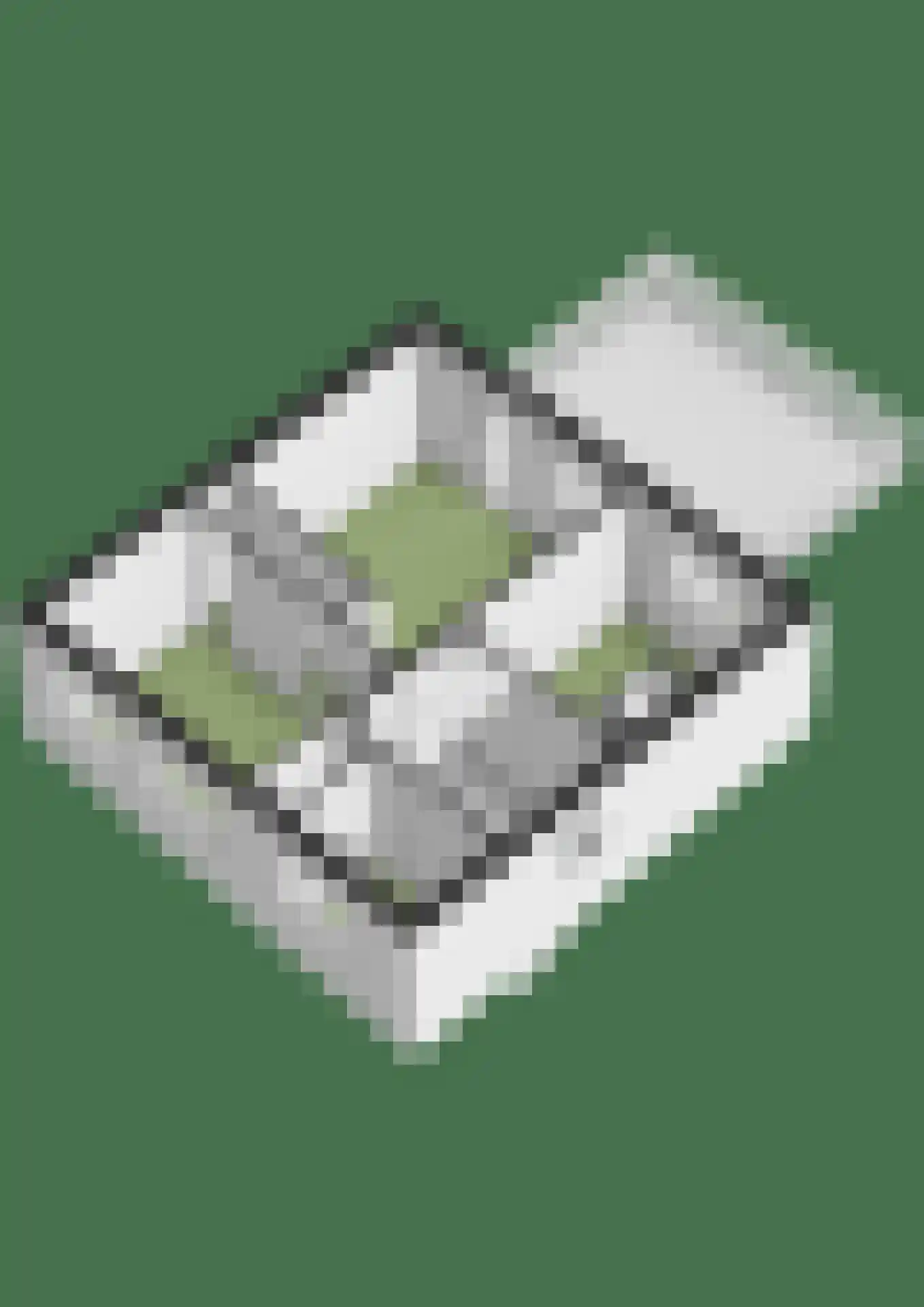 Markt 8 a Lobith thumbnail 43