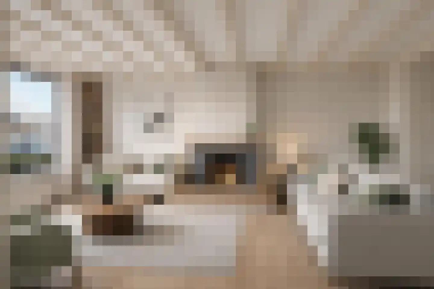 Markt 8 a Lobith thumbnail 9