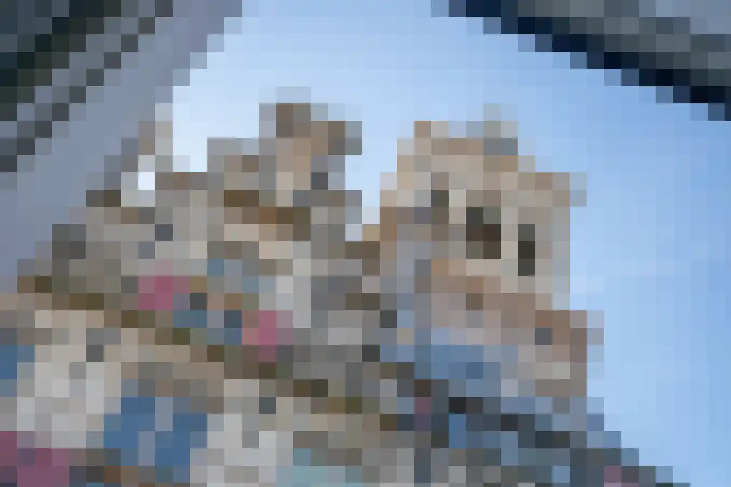 Markt 8 B Delft thumbnail 23