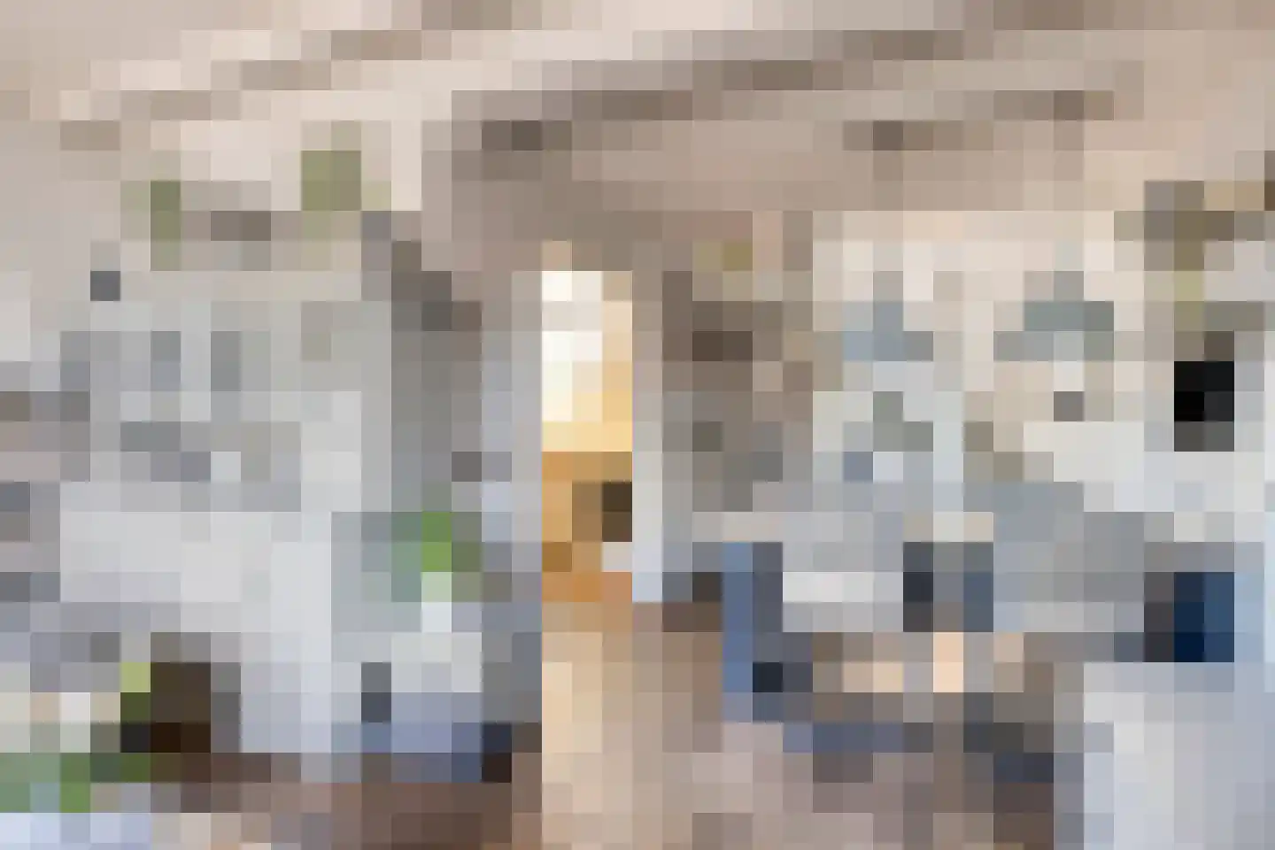 Markt 8 Brouwershaven thumbnail 10