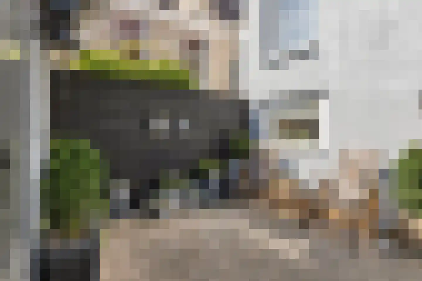 Markt 8 Brouwershaven thumbnail 35